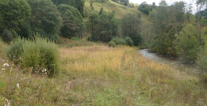 Palü dador la resia