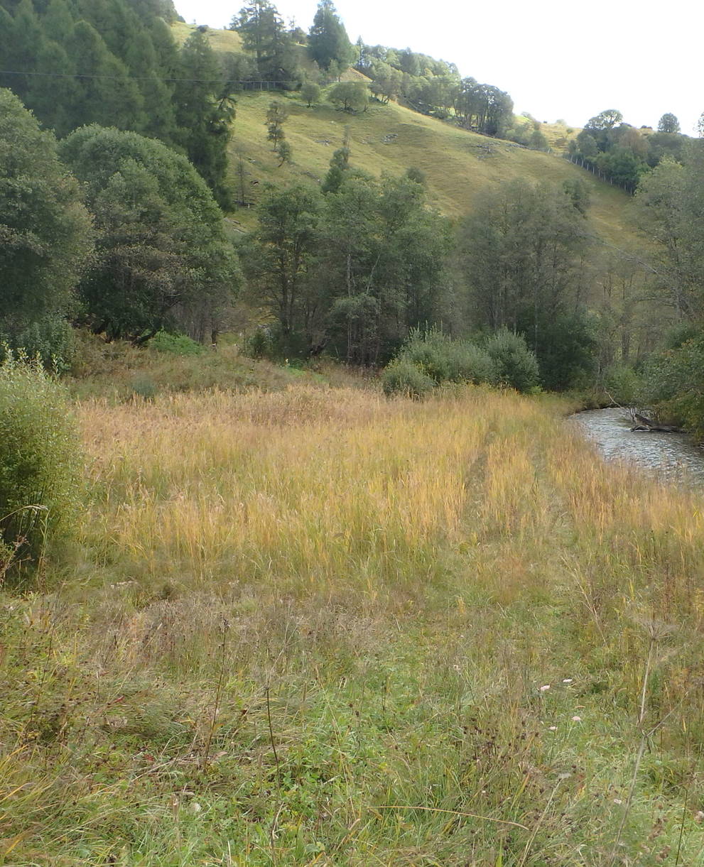 Palü dador la resia